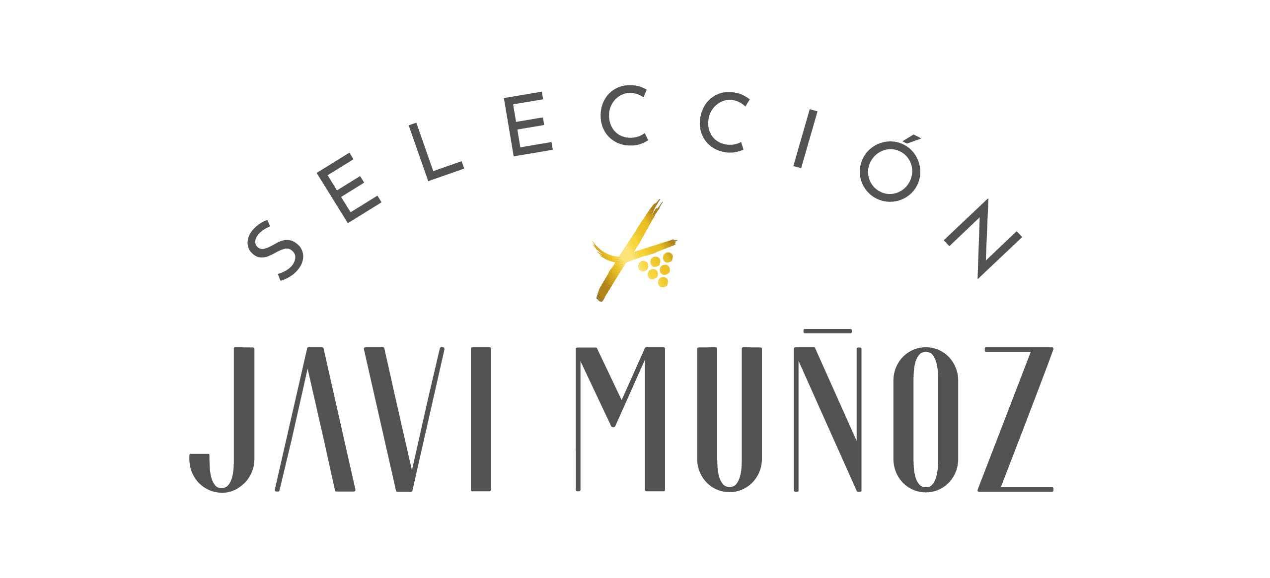 Logo SJV horizontal
